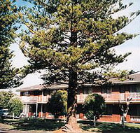 Eastern Beach Holiday Units