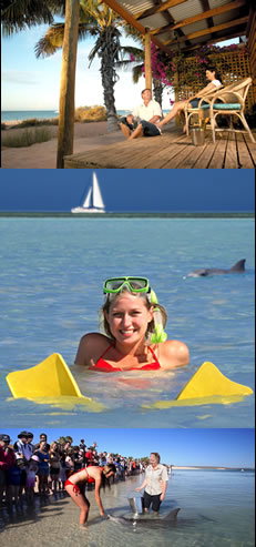 Monkey Mia Dolphin Resort - Accommodation Great Ocean Road 0