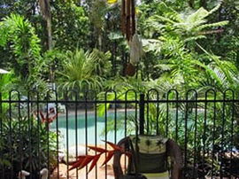Daintree Rainforest Retreat Motel - Accommodation Great Ocean Road 0