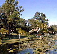 Twin Lakes Hotel - Accommodation Great Ocean Road