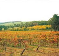 Byramgou Park - Accommodation Great Ocean Road