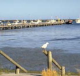 Seaview Motel and Holiday Units - Accommodation Great Ocean Road