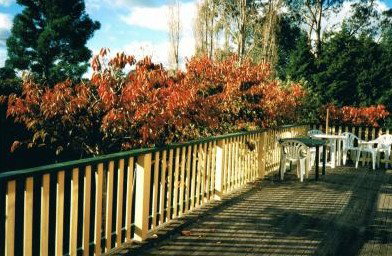 Heronswood House - Accommodation Great Ocean Road 5