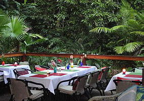 Daintree Rainforest Retreat Motel - Accommodation Great Ocean Road 1