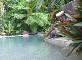 Daintree Rainforest Retreat Motel - Accommodation Great Ocean Road 5