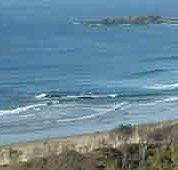 Beach Haven Apartments - Accommodation Great Ocean Road