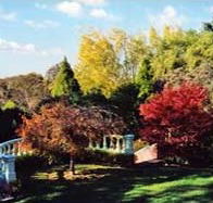 Edgelinks Bed And Breakfast - Accommodation Great Ocean Road