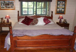 Licuala Lodge - Accommodation Great Ocean Road 1