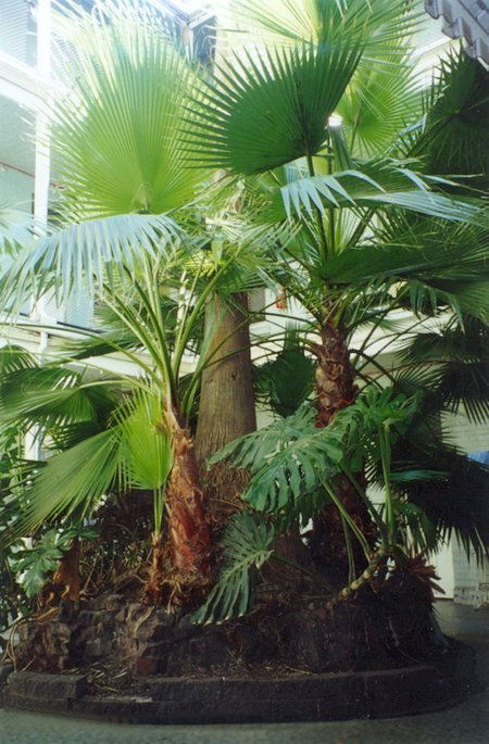 Plaza Hotel - Accommodation Great Ocean Road 2