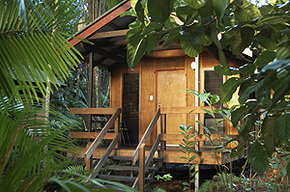 Cape Tribulation QLD Accommodation Great Ocean Road
