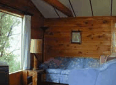 The Pines Resort - Accommodation Great Ocean Road