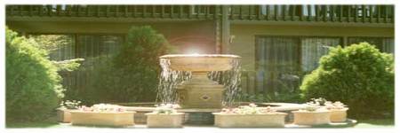 Best Western Tall Trees Motel - Accommodation Great Ocean Road 2