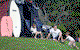 Broken Head Holiday Park - thumb 2