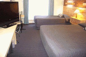 Goldsmith Motel/ Bed And Breakfast - Accommodation Great Ocean Road 2