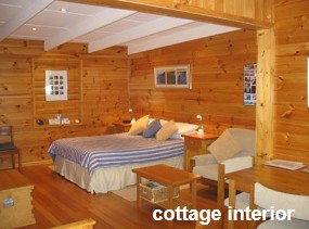 Anglesea Rivergums - Accommodation Great Ocean Road 0