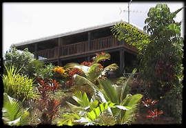 Daintree Manor - Accommodation Great Ocean Road 5