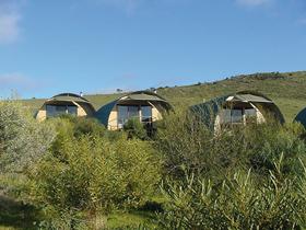 Saunders Gorge Sanctuary - Lodges - Accommodation Great Ocean Road 0