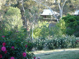 Battunga Bed & Breakfast - Accommodation Great Ocean Road 0