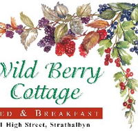 Wild Berry Cottage - Accommodation Great Ocean Road