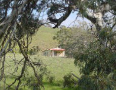 Saunders Gorge Sanctuary - Hideaway Cottage - Accommodation Great Ocean Road 1