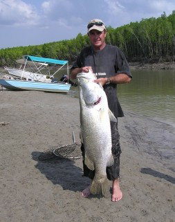 Dundee Downs Bush Resort - Accommodation Great Ocean Road 0
