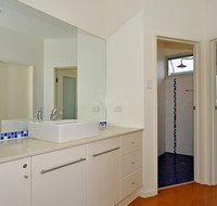 Seagulls at Hayborough - Accommodation Great Ocean Road