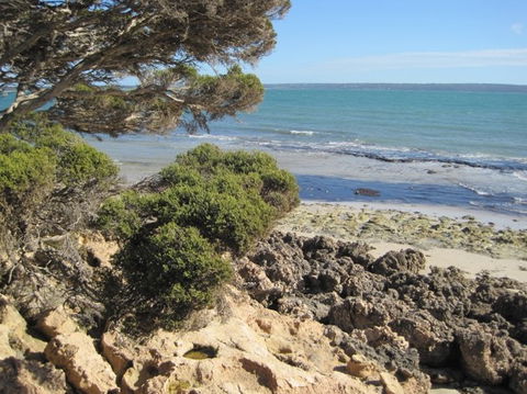 Wallaby Beach House - Accommodation Great Ocean Road 4