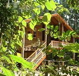 Rivers Edge Rainforest Retreat - Accommodation Great Ocean Road