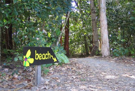 Cape Tribulation Camping - Accommodation Great Ocean Road 2
