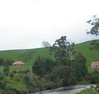 Tin Dragon Trail Cottages - Accommodation Great Ocean Road