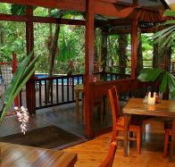 Daintree Wilderness Lodge - Accommodation Great Ocean Road