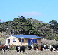 Marrawah Beach House - Accommodation Great Ocean Road