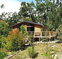 Southern Forest Accommodation - Accommodation Great Ocean Road
