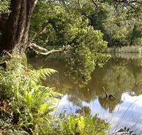 Weldborough Camping Ground - Accommodation Great Ocean Road
