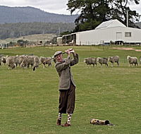 Park House Accommodation - Accommodation Great Ocean Road