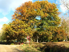 Golconda TAS Accommodation Great Ocean Road