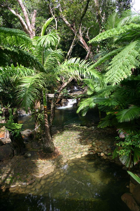 Daintree Secrets (Award Winning Retreat) - Accommodation Great Ocean Road 4
