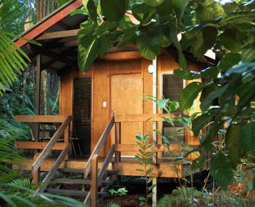 Cape Trib Beach House YHA - Accommodation Great Ocean Road 4