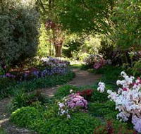 Wombat Hill Bed and Breakfast - Accommodation Great Ocean Road