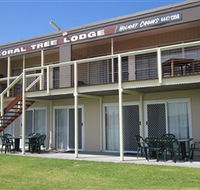 Coral Tree Lodge Tourist Park - Accommodation Great Ocean Road