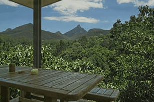 Mavis's Kitchen And Cabins - Accommodation Great Ocean Road 1