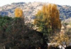 Nundle NSW Accommodation Great Ocean Road