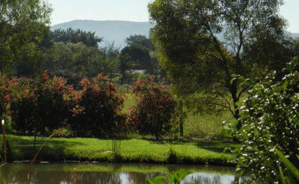 Amazing Country Escapes - Evanslea By The River - Accommodation Great Ocean Road 4