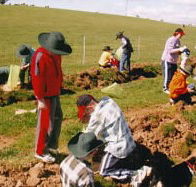 Banderra B and B Farmstay - Accommodation Great Ocean Road