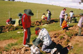 Banderra B And B Farmstay - Accommodation Great Ocean Road 0