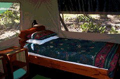 Svendsens Beach, Great Keppel Island - Accommodation Great Ocean Road 4