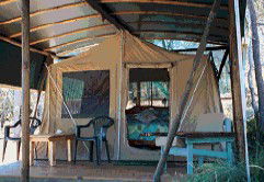 Svendsens Beach, Great Keppel Island - Accommodation Great Ocean Road 5