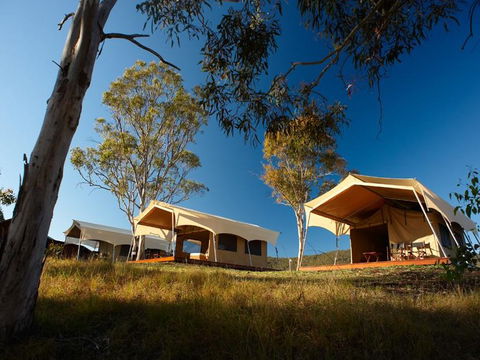 Spicers Canopy - Accommodation Great Ocean Road 3