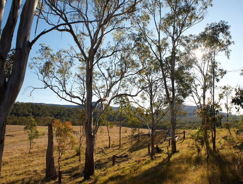 Spicers Canopy - Accommodation Great Ocean Road 4