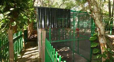 Ashmore Palms Holiday Village - Accommodation Great Ocean Road 3